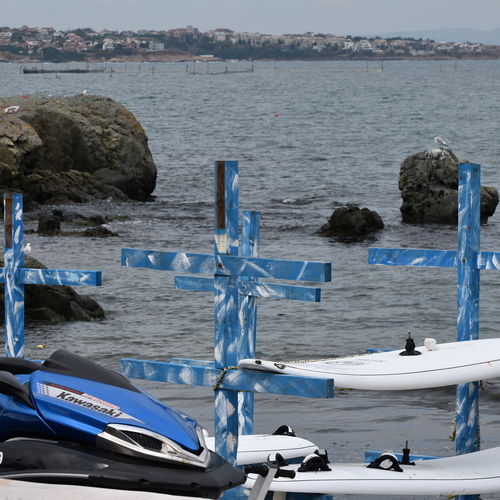 Photo #14202106