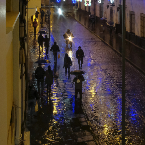Photo #14202117