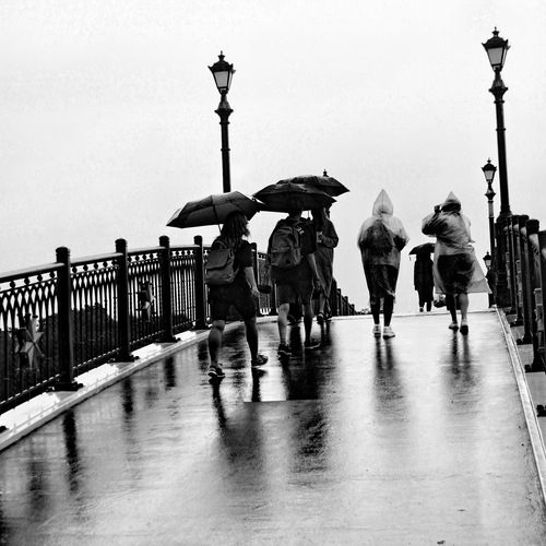 Photo #14202544