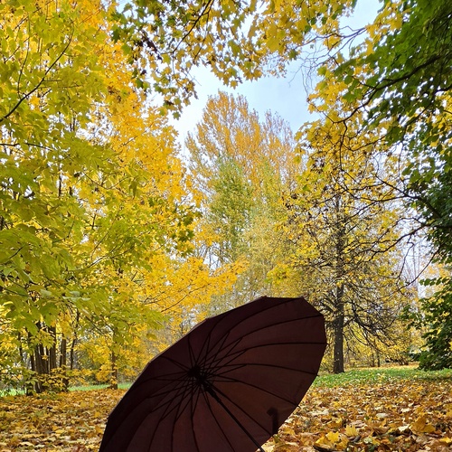 Осень в Зеленограде