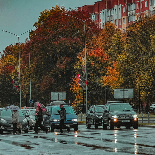 Photo #14202887