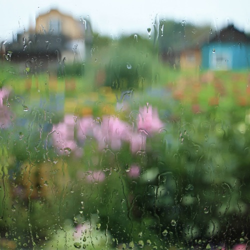 Photo #14202988