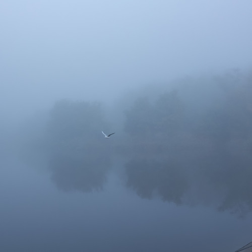 Photo #14203083