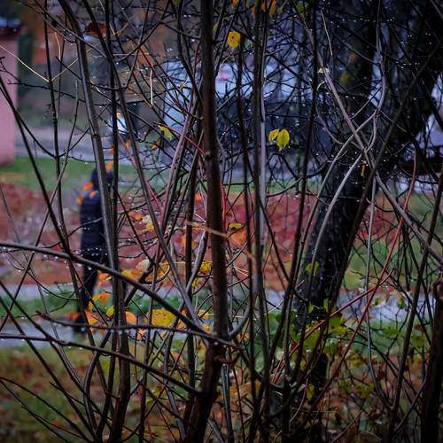 Photo #14203172
