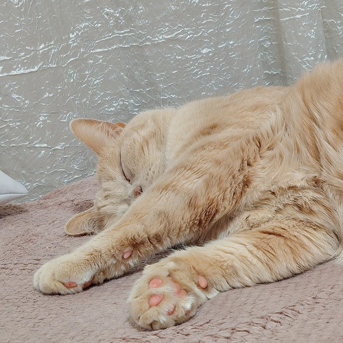 Photo #14203187