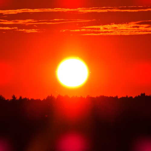 Photo #14203346