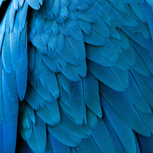 Photo #14203524