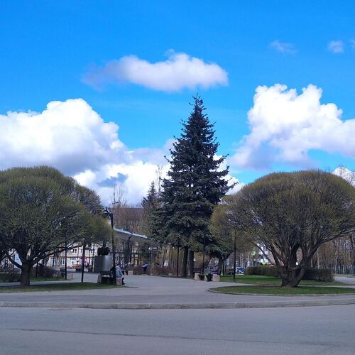 Photo #14203836