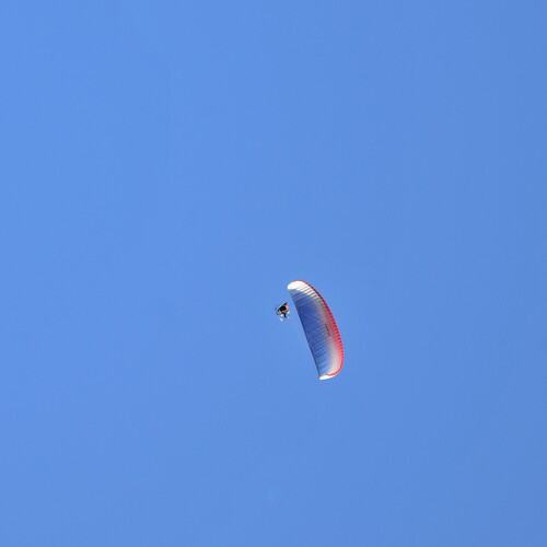 Photo #14203997