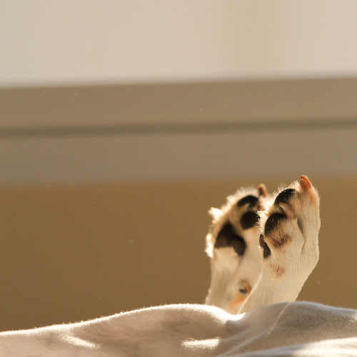 Photo #14204315