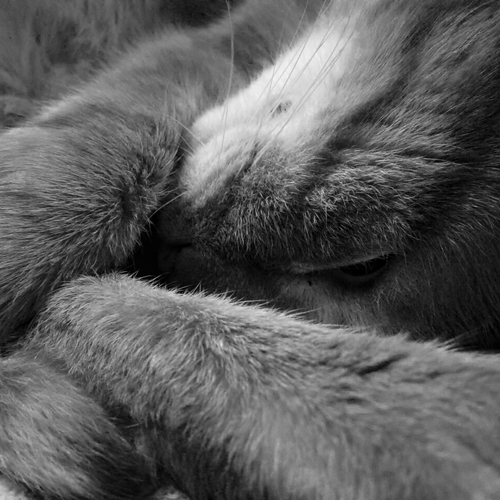 Photo #14204346