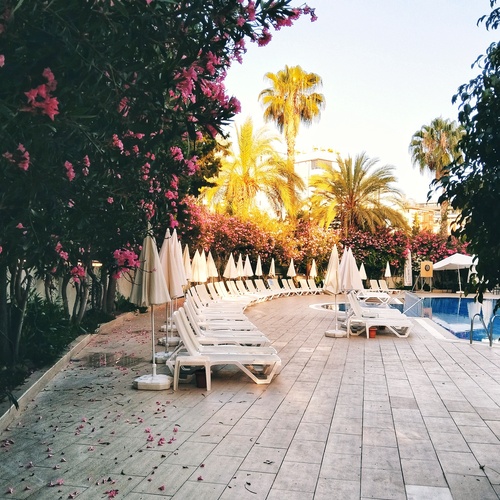 Photo #14204363