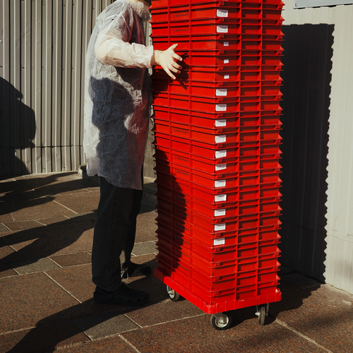 Photo #14204368