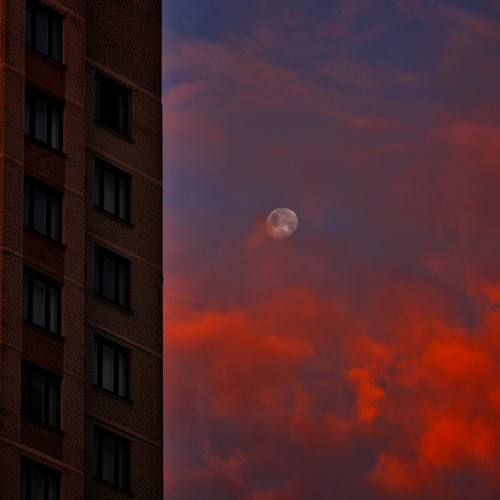 Photo #14204384