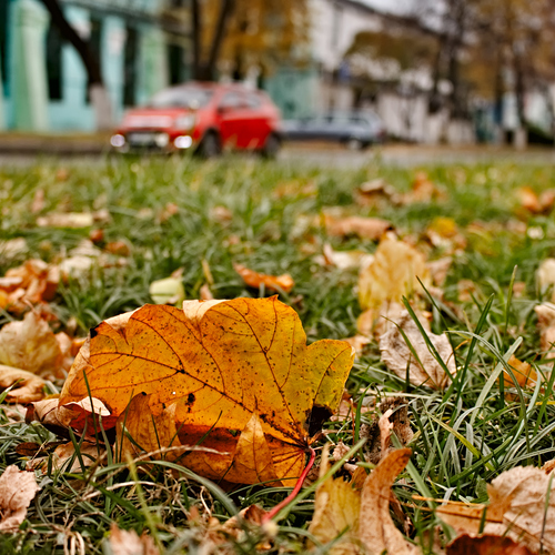 Photo #14204443