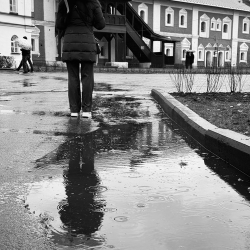 Photo #14205266