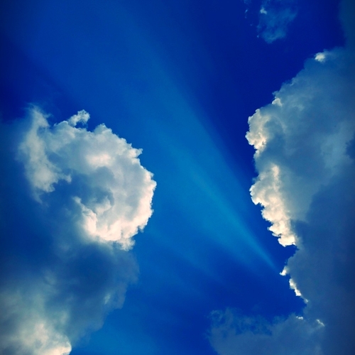 Photo #14205332