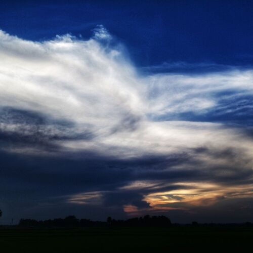 Photo #14205335