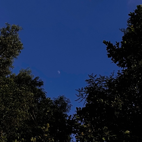 Photo #14205355