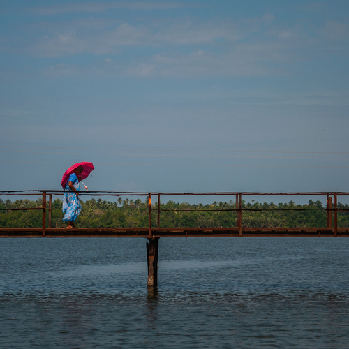 Photo #14205367