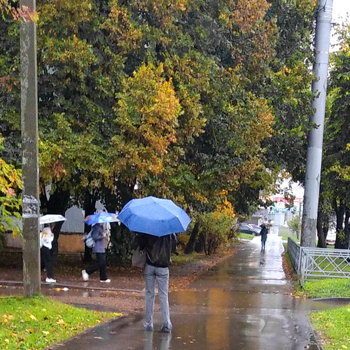 Photo #14205745