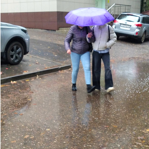 Photo #14205747