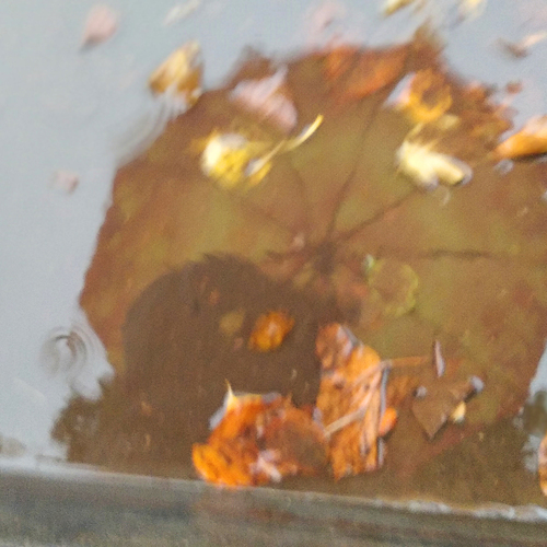 Photo #14205754