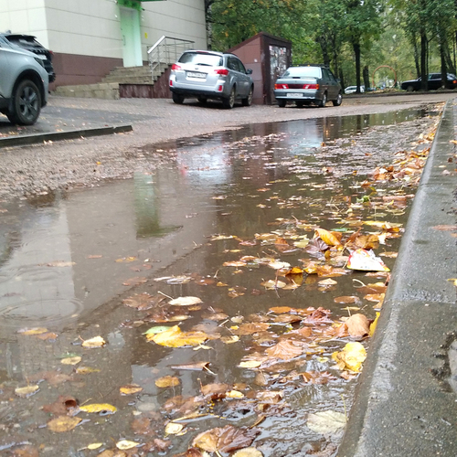 Photo #14205872
