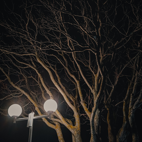 Photo #14205902