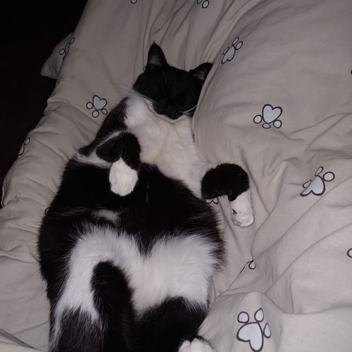 Photo #14205930