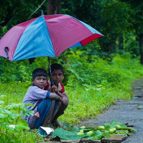 Monsoon Moments,Leaf & Shelter