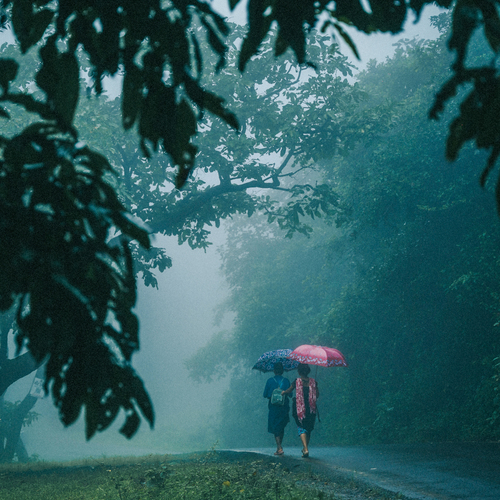 Walk Through the Mist