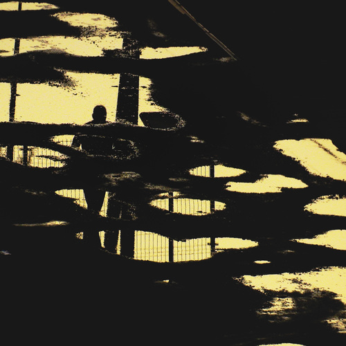 Photo #14206097