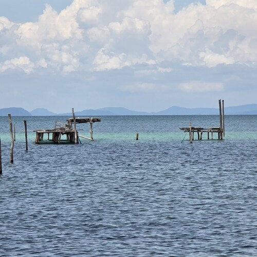 Photo #14206134