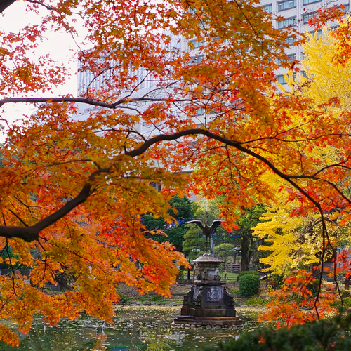 120 Years, Layered in Color