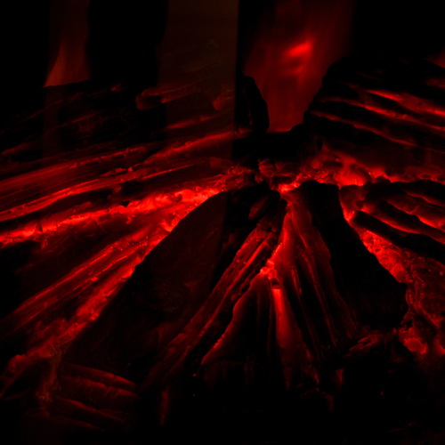 Photo #14206422