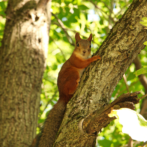 Photo #14206914