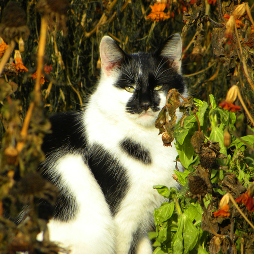 Photo #14207044