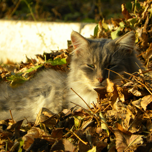 Photo #14207056