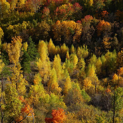Photo #14207465