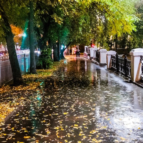 Photo #14207622