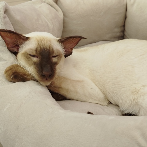 Photo #14208047