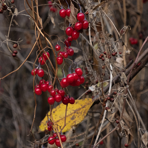 Photo #14208308