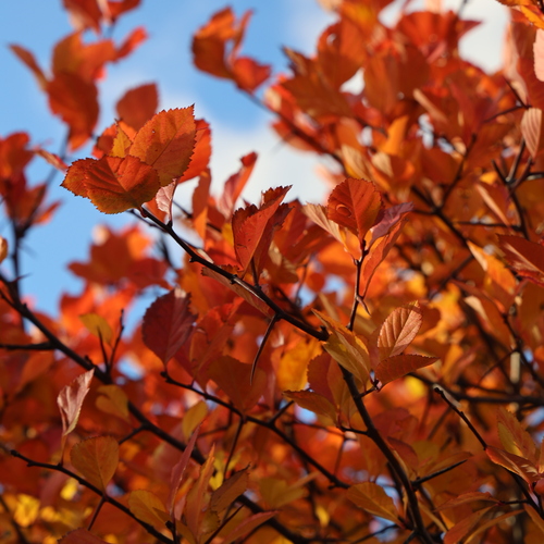 Photo #14208344
