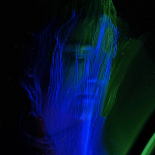 Photo #14208456