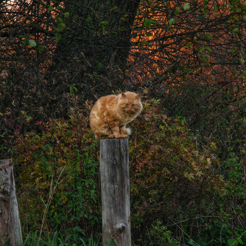 Photo #14208769