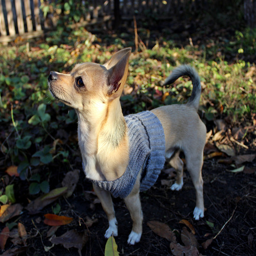 Photo #14209551