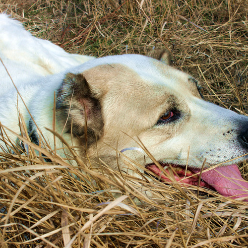 Photo #14209605
