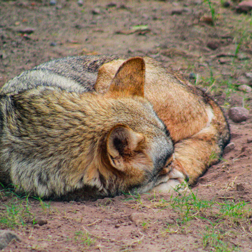 Photo #14209655