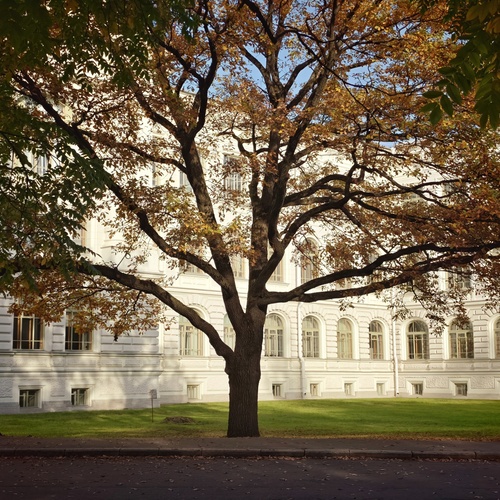 Photo #14209662